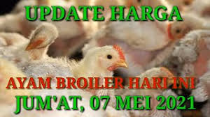 Untuk update harga ayam pejantan saat ini hanya masih mencakup dari pulau jawa semata, karena pasar untuk ayam pejantan besarnya di jawa, bagi luar pulau sendiri tidak terlalu mengenal apa itu ayam pejantan, karena untuk ayam broiler juga usaha masih dibilang cukup menjanjikan dan tidak sebanyak di pulau jawa. Harga Ayam Broiler Hari Ini Jum At 07 Mei 2021 Youtube