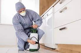 Outdoor pest management