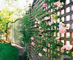 A fence is the obvious choice, but there are many other ways to design for privacy in the garden. Privacy Landscaping Ideas To Try In Your Yard Privacy Fence Landscaping Privacy Landscaping Backyard Fences
