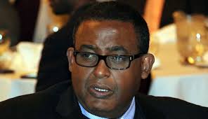 A beacon of hope toward a unified Somali diaspora launched in Virginia, USA