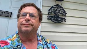 Pruning Brazilian Raintree.# Brazilian Raintree