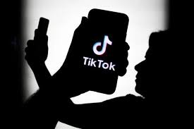 TikTok无网络连接无法访问如何解决？国内如何使用TikTok？
