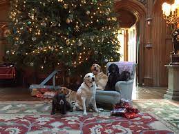 Maybe you would like to learn more about one of these? December 25th At Highclere Lady Carnarvon
