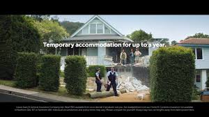 Buying car insurance from budget direct is really simple. Budget Direct Budget Direct Bad Dog Facebook