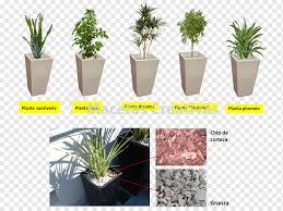Maybe you would like to learn more about one of these? Flowerpot Houseplant Ornamental Plant Decorative Arts Plant Grass Interior Design Services Window Box Png Pngwing