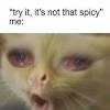 43 chili memes ranked in order of popularity and relevancy. Https Encrypted Tbn0 Gstatic Com Images Q Tbn And9gcrhnhbg0yonpdjsy3rd6u Vmjs1v R0 Vrdxjo8v Qogsn Bjik Usqp Cau