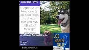 Map of los banos animal shelter in los banos, california. Los Banos Animal Shelter Adoptions On Hold Youtube