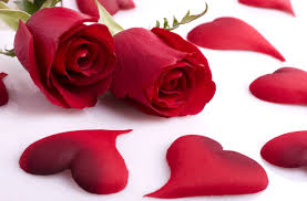 صور اجمل ورد الورد رمز الحب وداع وفراق