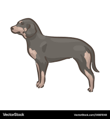 Image result for slovenský kopov