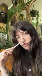 Rose Hip Flash Design Drawing Process by Green666annie