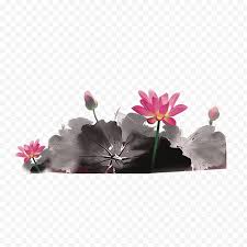 Pink rose butterfly pictures download free images on unsplash. Ink Wash Painting Chinese Flower Lotus Free Png
