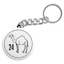 Multiple means of action and expression: 24 Hour Camel Recovery Key Chain Sobriety Keychains Key Fobs And 12 Step Gifts