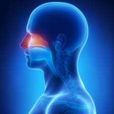 Nasal and paranasal tumors can be noncancerous (benign) or they can be cancerous (malignant). Nasal Cancer Paranasal Sinuses Medlineplus