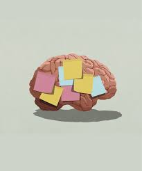 Build your study stamina and concentration | Skills for Study