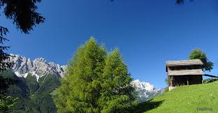 Se viaggi con un amico a quattro zampe sarai felice di sapere che più della metà. Vacanza A San Candido Vacanza Da Sogno Trentino Alto Adige