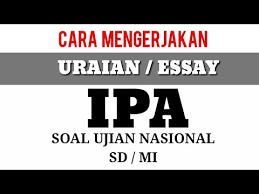 8 oktober 2017 bimbingan belajar brilian. Soal Uraian Un Ipa Kelas 6 Sd Dan Kunci Jawaban Youtube