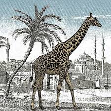 Now Can You Find The Hidden Giraffe In This Picture Juegos Mentales Jirafas Acertijos Mentales