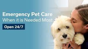 We have a 5100 square foot hospital with examination rooms, three hospital wards with separate treatment and surgery areas (including laser surgery), over 40 kennels for. Westvet 24 7 Animal Emergency Specialty Center Home Facebook
