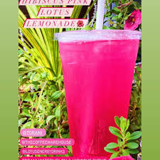 Check spelling or type a new query. Lotus Energy Drinks å¸–å­ Facebook