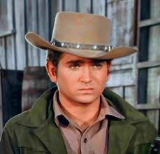 Anyone tell me what the name of Little Joe Cartwrights Horse was