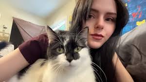 Lost Cat in Mercer County, KY