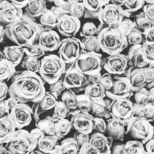 Buy floral wallpaper wallpapers and get the best deals at the lowest prices on ebay! Grey Flowers Wallpapers Top Free Grey Flowers Backgrounds Wallpaperaccess