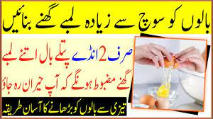 Hair growth tips for men you can click on the image below to make this image bigger so that you can read all the tips and can follow them so that your hairs could growth in the best way and you can get good hairs. 2 Egg Tips For Longer Thicker And Healthy Hair In Urdu Fast Hair Growth Naturally Youtube