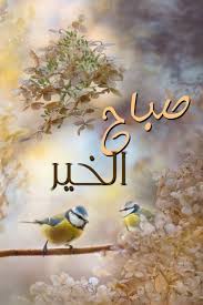 مساء الخير شعر Good Morning Beautiful Images Beautiful Morning Messages Morning Pictures
