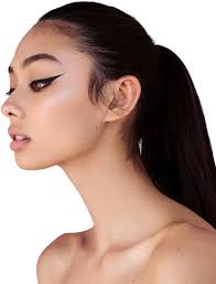 Amazon.com : Artisan L'uxe Midnight Diva All Day Waterproof Liquid Eyeliner 