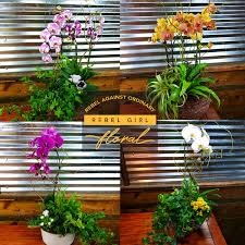 Michael Brickley Obituary