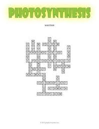 We did not find results for: Photosynthesis Crossword Puzzle Photosynthesis Interactive Science Notebook Photosynthesis Worksheet