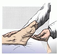 Image result for Cremasteric Reflex