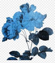 Unique blue aesthetic stickers featuring millions of original designs created and sold by independent artists. Flower Sticker Backgrounds Blue Pics Aesthetic Hd Png Download 1024x1137 1030669 Pngfind
