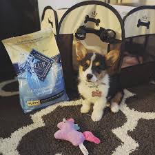 Our team of experts has selected the best blue buffalo dog foods out of hundreds of models. Life Protection Formula Dry Puppy Food Chicken Brown Rice Recipe Blue Buffalo