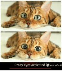 Maybe you would like to learn more about one of these? 25 Best Crazy Eyes Memes Crazy Eye Memes Waiting For Memes I Cant Believe Memes
