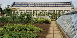 Urban Agriculture Urban Green Blue Grids