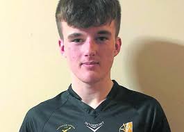 Galmoy's Drennan proves he is alley Cat