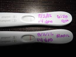 Most pregnancy tests show two lines: Br Faint Line On Pregnancy Test New Update On Page 2 Weddings Married Life Wedding Forums Weddingwire