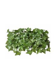 Maybe you would like to learn more about one of these? Uv Resistant Artificial Ivy Living Wall Panels Pack Of 6 Replica