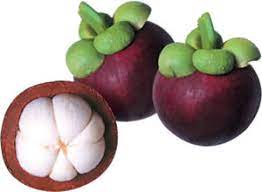 Ia diperkaya dengan zat galian yang mempunyai nilai perubatan dan mampu lepas makan baca doa. Buah Buahan Tempatan Buah Buahan Kegemaranku