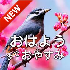 Check spelling or type a new query. Japanese Good Morning Good Night Wishes Messages Amazon De Apps Spiele