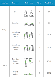 Programme Musculation Debutant Espace Musculation Com Programme Musculation Musculation Pour Debutant Appareil Musculation