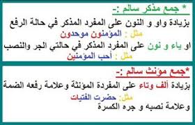 هابي كيدز عندي فكرة وسيلة الاسماء من حيث المفرد و المثنى والجمع blog posts math blog