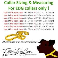 Remember that your puppy grows fast, so this sized collar will not last for long but it will be great for the first few months. Edg Personalized Dog Collar Turquoise Extreme Dog Gear