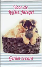 Leuke Verjaardagskaart Met Poes En Hond Samen In Mand