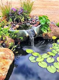 Backyard Pond Plants Ponds Backyard Fountains Backyard Waterfalls Waterfalls Backyard