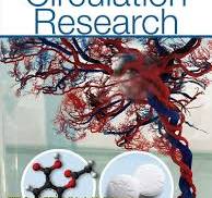 American Heart Association Journals