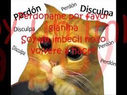 Perdoname Por Favor No Quise Lastimarte Youtube