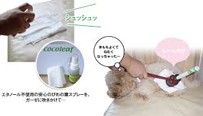 愛犬にやさしい びわの葉温灸 びわの葉エキス300ml