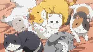 Super sonico cats